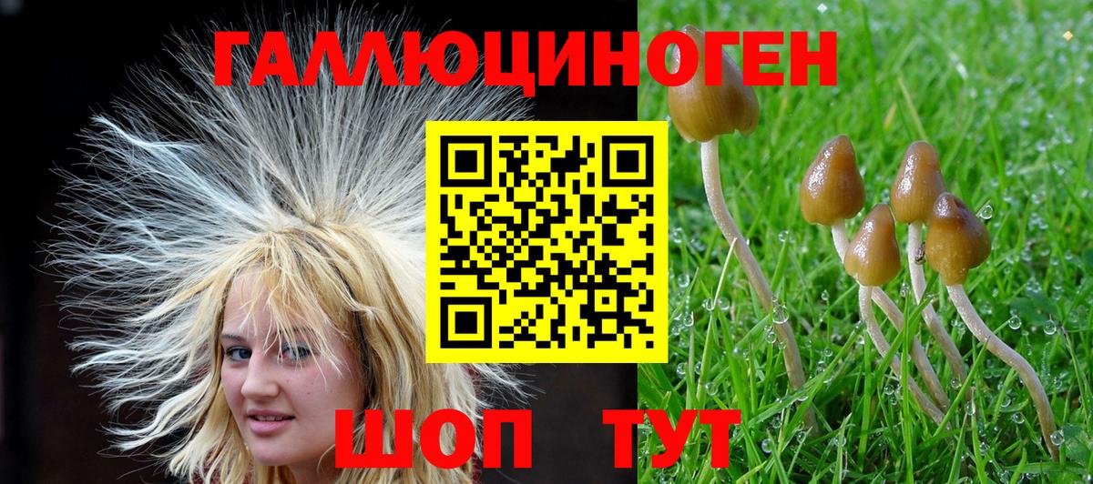 Псилоцибиновые грибы GOLDEN TEACHER Екатеринбург