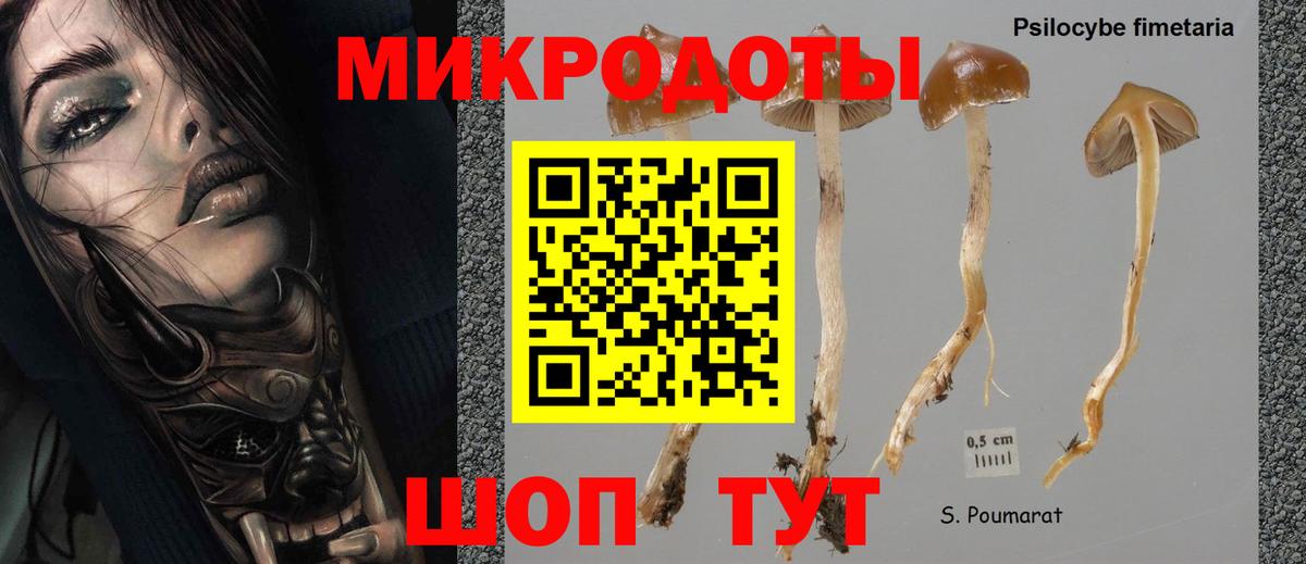 Галлюциногенные грибы мицелий  Вход с VPN  Екатеринбург 
