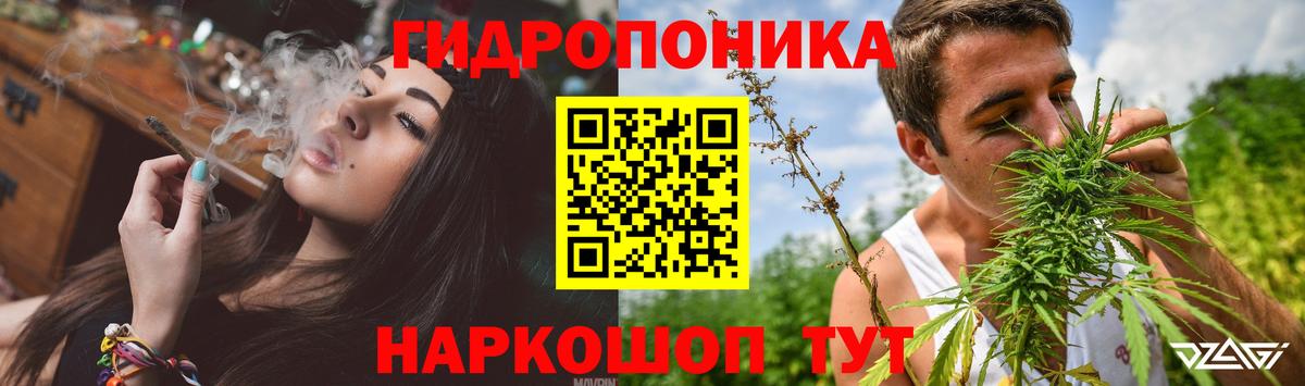 Бошки марихуана White Widow  Марихуана семена  Вход с VPN  Екатеринбург  Канабис индика 